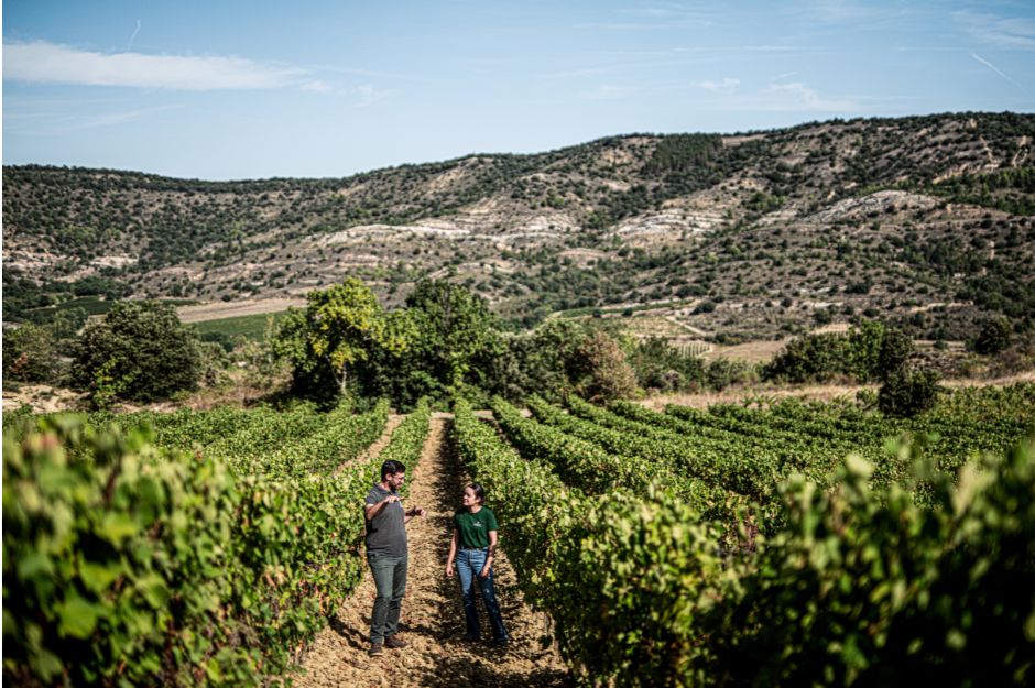 Abbotts & Delaunay Vigneti