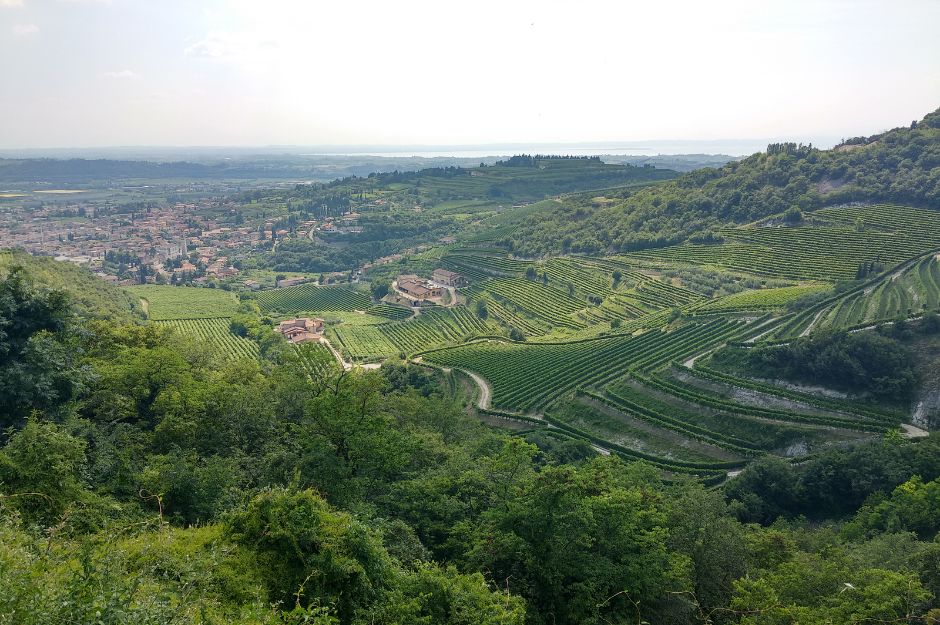 I vigneti e la vallata