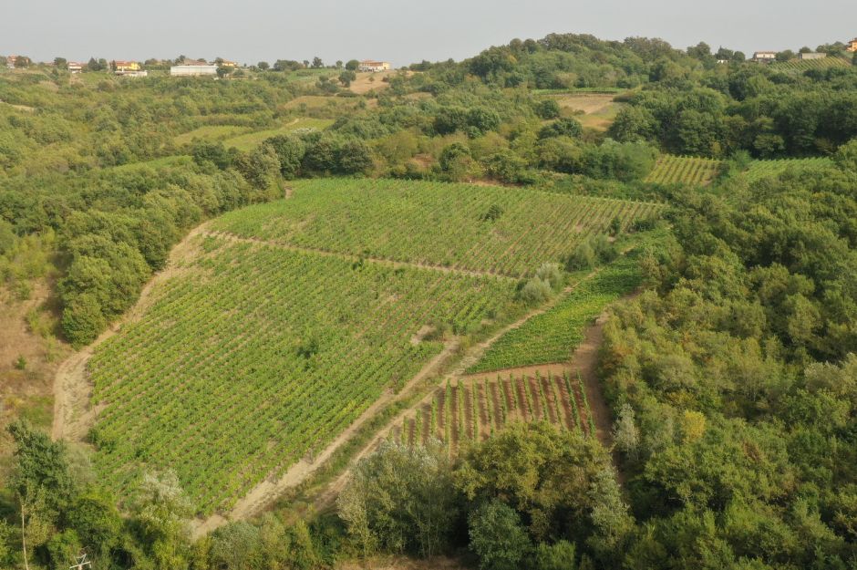 Contrada Arianiello