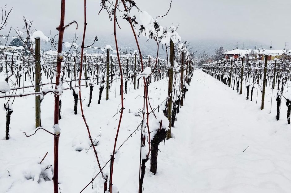 Raineri Franciacorta Vigne con Neve