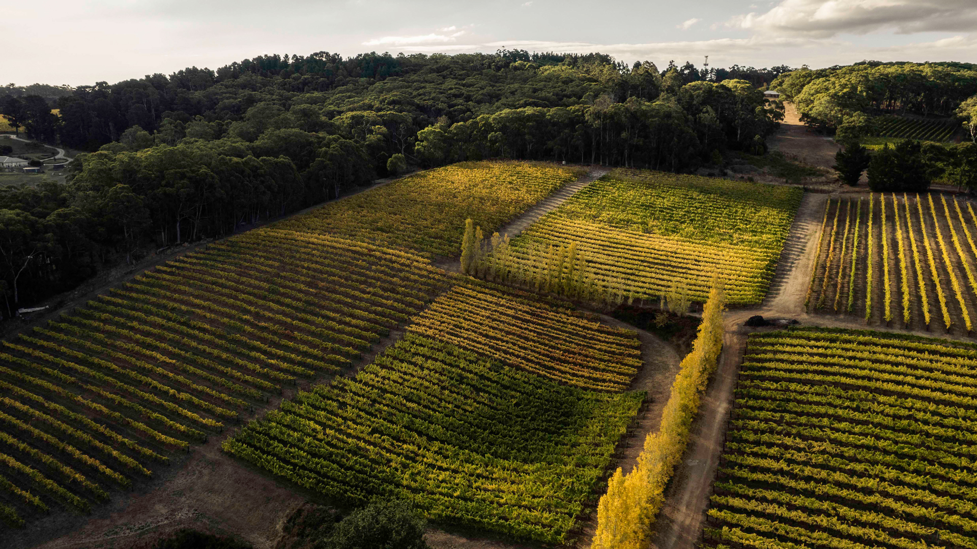 Adelaide Hills
