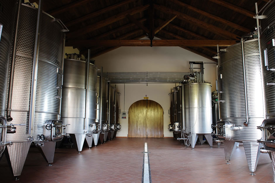 La cantina di vinificazione